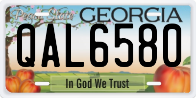 GA license plate QAL6580