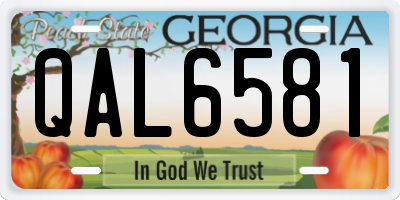 GA license plate QAL6581