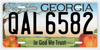 GA license plate QAL6582