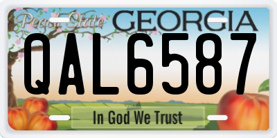 GA license plate QAL6587