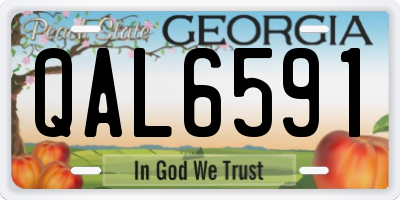 GA license plate QAL6591