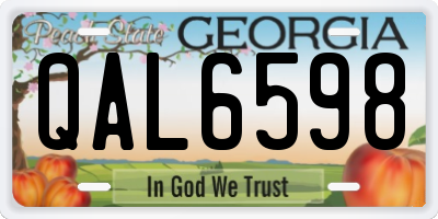 GA license plate QAL6598