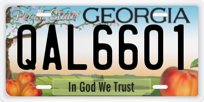 GA license plate QAL6601