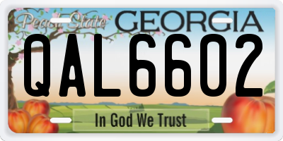 GA license plate QAL6602