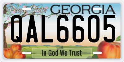 GA license plate QAL6605