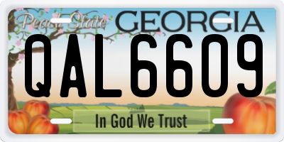 GA license plate QAL6609