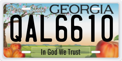 GA license plate QAL6610