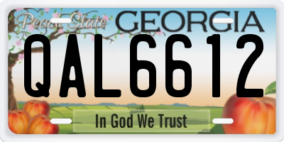 GA license plate QAL6612