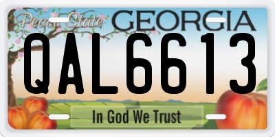 GA license plate QAL6613