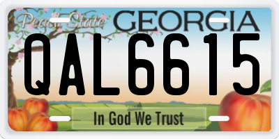 GA license plate QAL6615