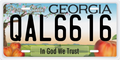 GA license plate QAL6616