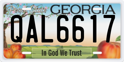 GA license plate QAL6617