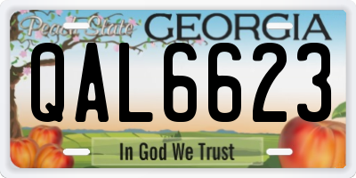 GA license plate QAL6623