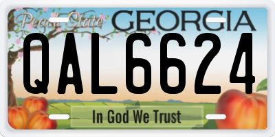 GA license plate QAL6624