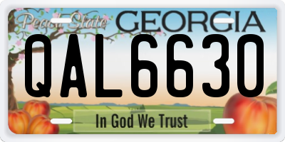 GA license plate QAL6630