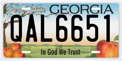 GA license plate QAL6651