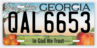 GA license plate QAL6653