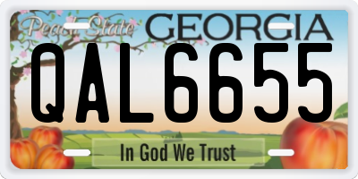 GA license plate QAL6655