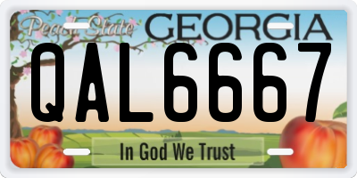 GA license plate QAL6667