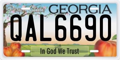 GA license plate QAL6690