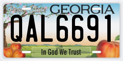 GA license plate QAL6691