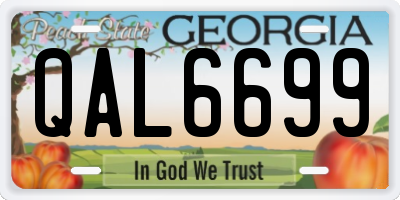 GA license plate QAL6699