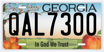 GA license plate QAL7300