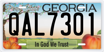 GA license plate QAL7301