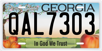 GA license plate QAL7303