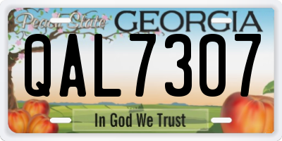 GA license plate QAL7307