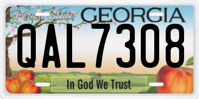 GA license plate QAL7308