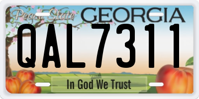 GA license plate QAL7311