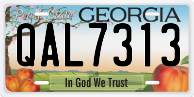 GA license plate QAL7313