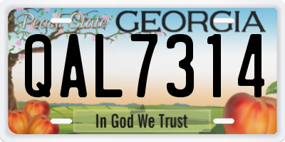 GA license plate QAL7314