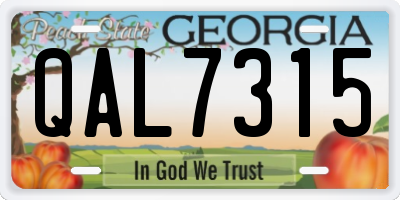 GA license plate QAL7315