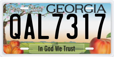 GA license plate QAL7317