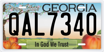 GA license plate QAL7340