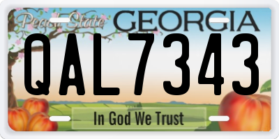 GA license plate QAL7343