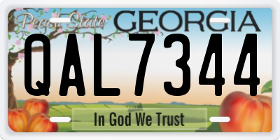 GA license plate QAL7344