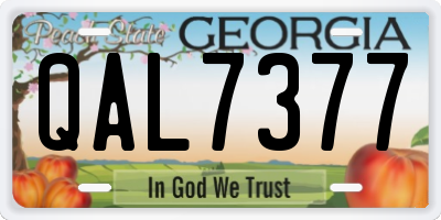 GA license plate QAL7377