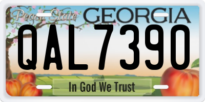 GA license plate QAL7390