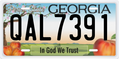 GA license plate QAL7391