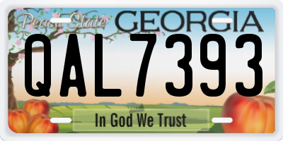 GA license plate QAL7393