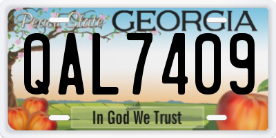 GA license plate QAL7409