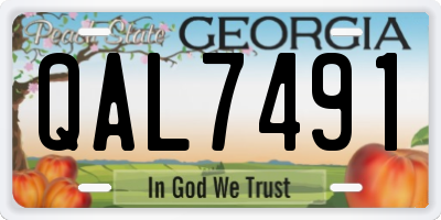 GA license plate QAL7491