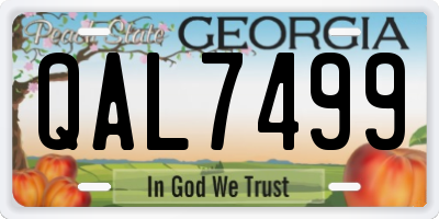 GA license plate QAL7499