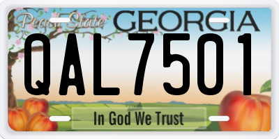 GA license plate QAL7501