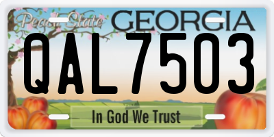 GA license plate QAL7503