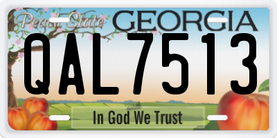 GA license plate QAL7513