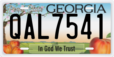 GA license plate QAL7541